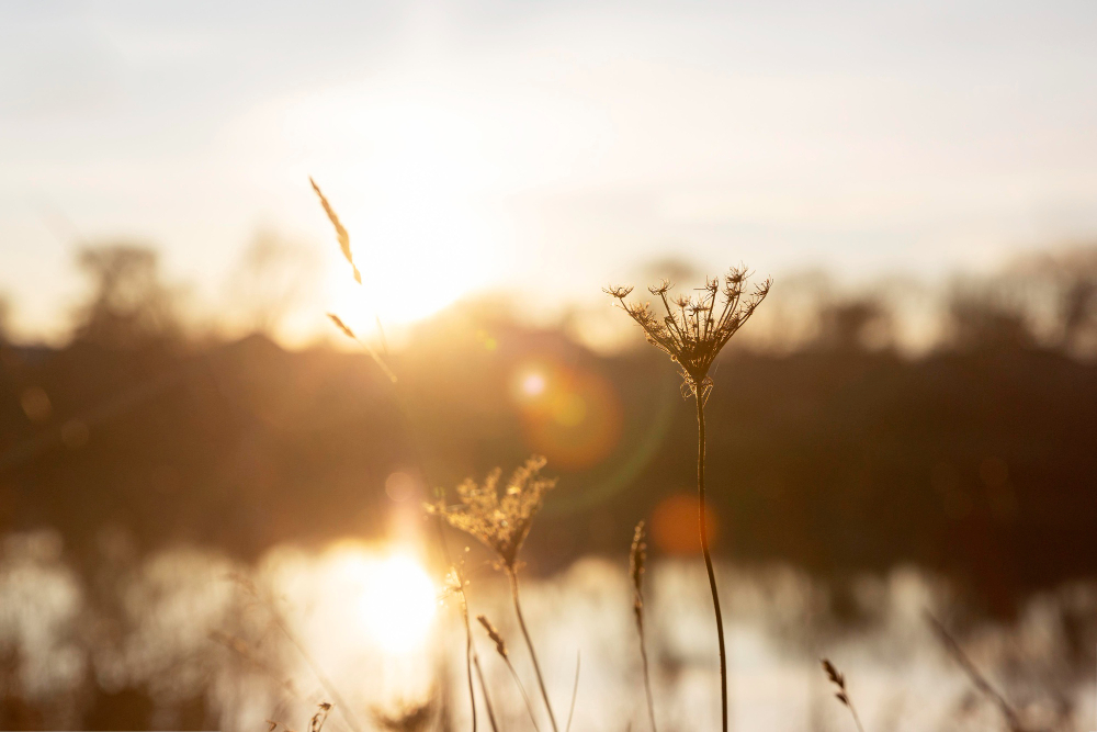 Welcome to July – A Month of New Chapters and Deep Wholeness
